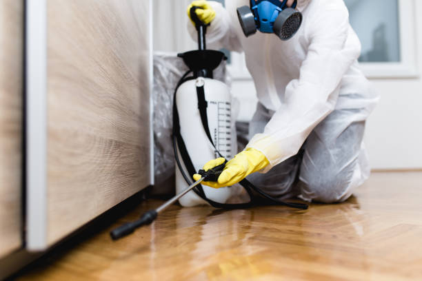 Best Flea Control Services  in Three Rivers, MI