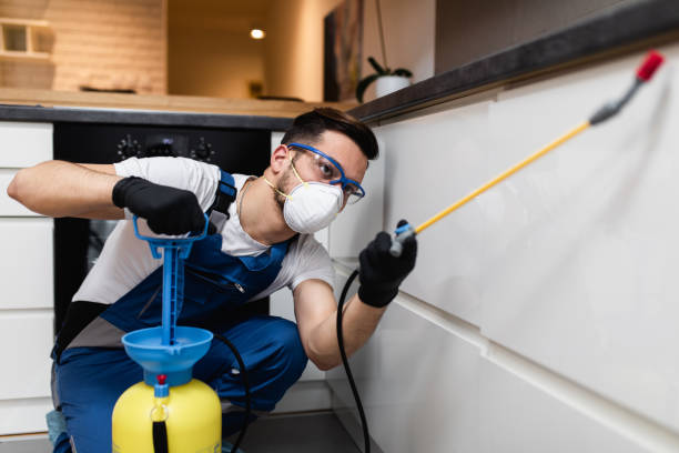 Best Residential Pest Control  in Three Rivers, MI
