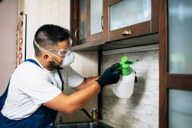 Best Cockroach Control Services  in Three Rivers, MI