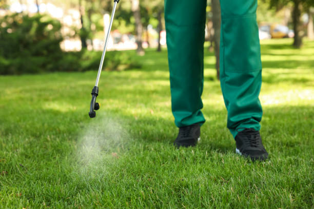 Best Best Pest Control Companies  in Three Rivers, MI