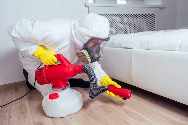 Best Cockroach Control Services  in Three Rivers, MI