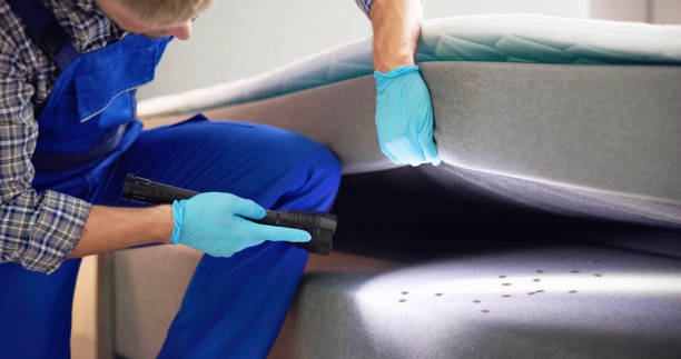 Best Commercial Pest Control Services  in Three Rivers, MI